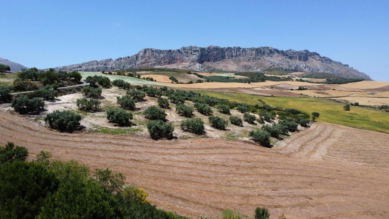 La Posada Del Torcal Villanueva de la Concepción Eksteriør billede